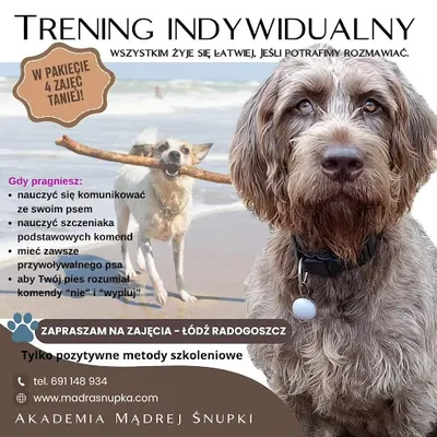 Akademia Mądrej Śnupki - Szkolenie psów, behawiorysta Łódź
